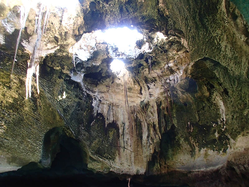 Sugar Adventure Company - Thunderball Grotto Above