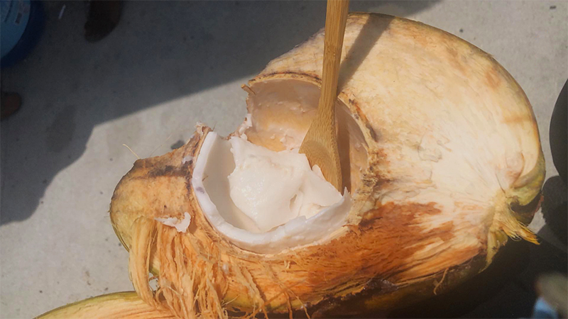 Plastic - Coconut with Bamboo Spoon