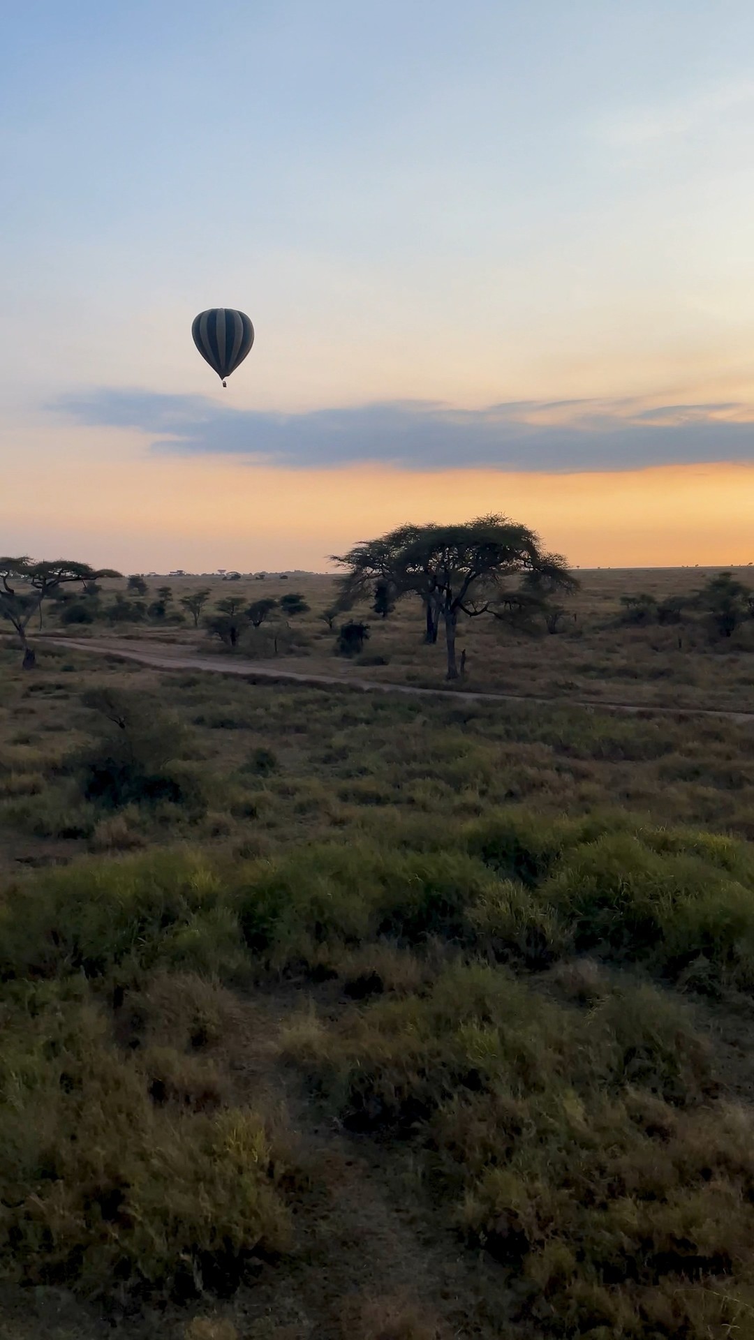 Actually living my wildest dreams. Africa has been on my bucket list since I was a little girl, but experiencing a sunrise hot air balloon safari followed by breakfast in the Serengeti? There are just no words to describe that experience. 

This moment was a dream come true and truly surreal. To be surrounded by the vast beauty of the Serengeti while floating above it… I’ll remember it always.

#DreamComeTrue #SerengetiSunrise #BalloonSafari #WildestDreams #AfricaAdventure #BucketListExperience #Serengeti #ExploreAfrica